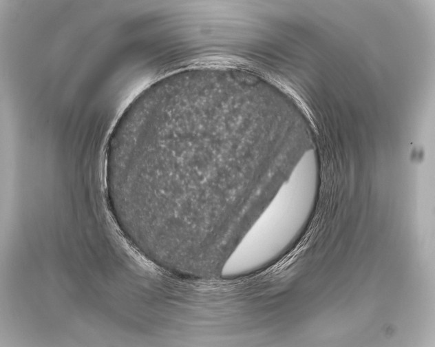 X0000093371083200711011223