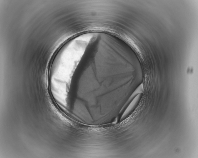 X0000093371084200711011223