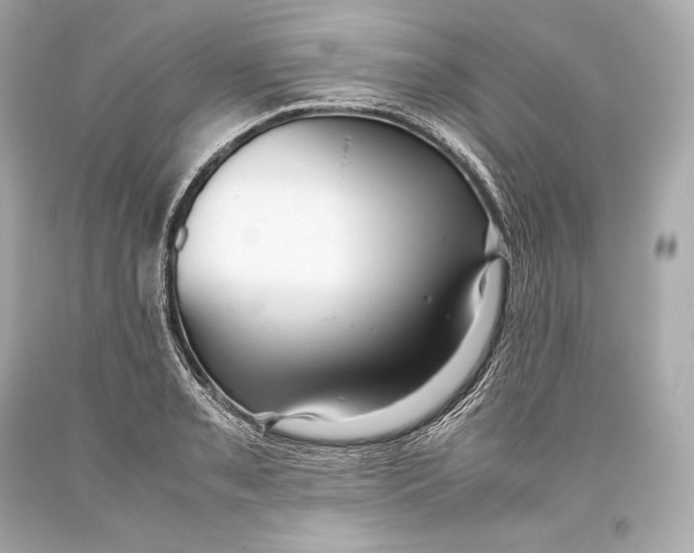 X0000093371085200711011223