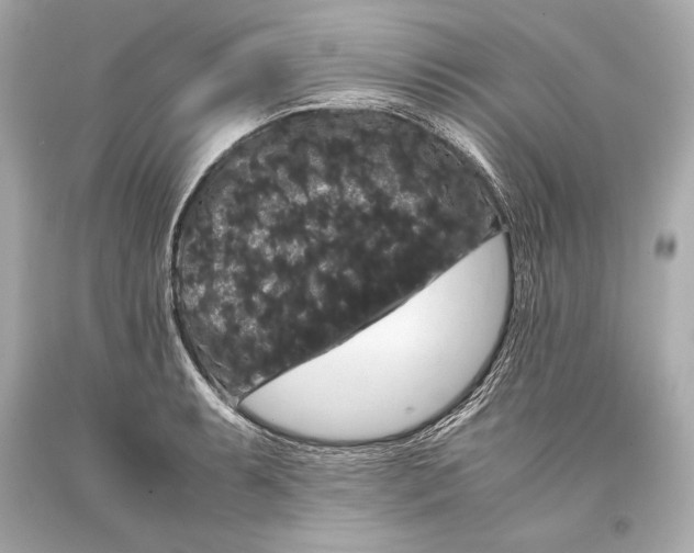 X0000093371087200711011223