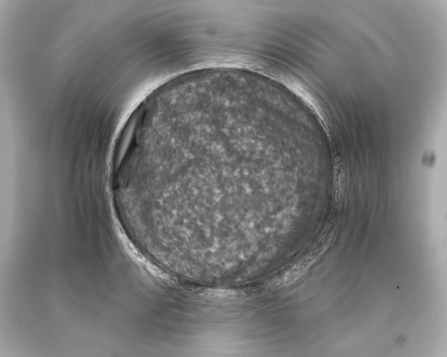 X0000093371088200711011223