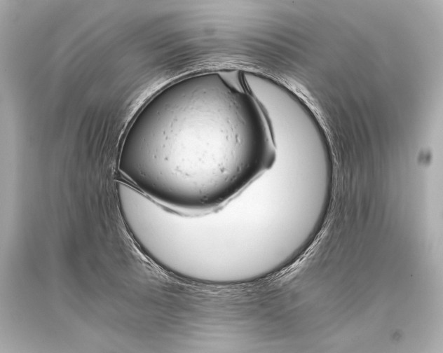 X0000093371089200711011223