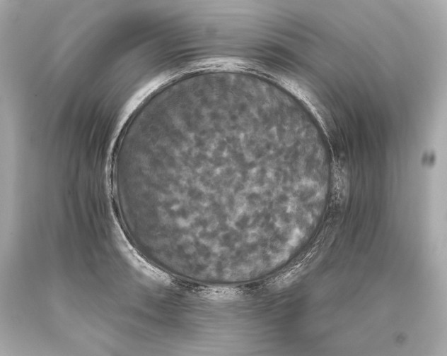 X0000093371090200711011223