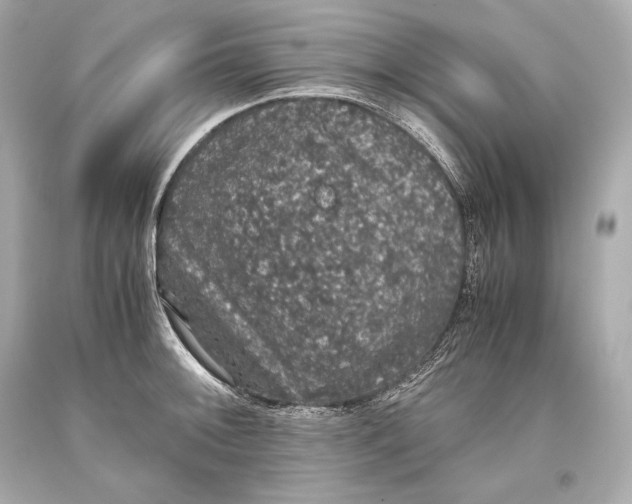 X0000093371092200711011223