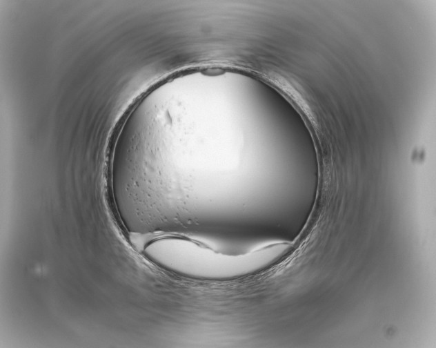 X0000093371093200711011223