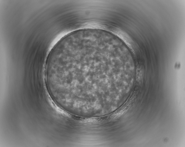 X0000093371094200711011223