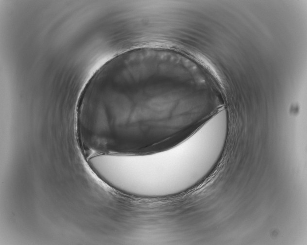 X0000093371095200711011223