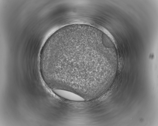 X0000093371096200711011223