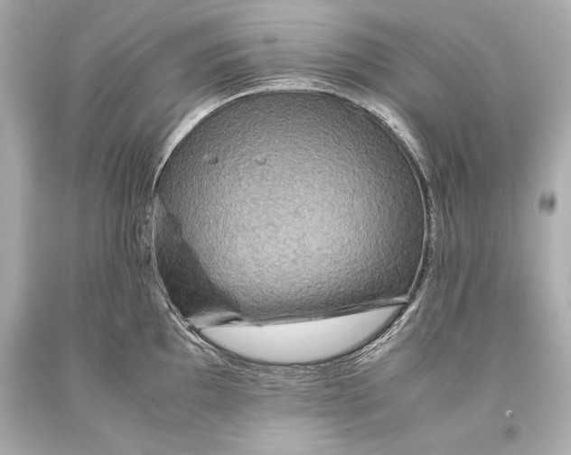 X0000093371097200711011223