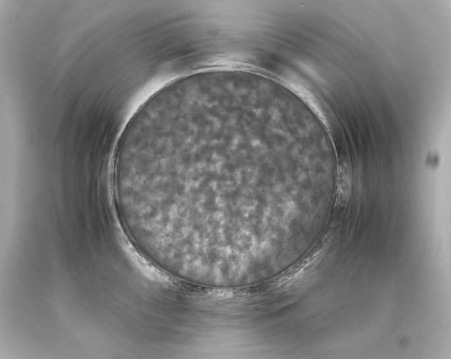 X0000093371098200711011223