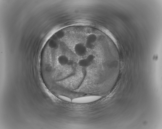 X0000093371099200711011223