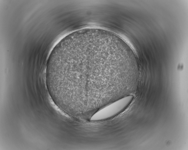 X0000093371100200711011223