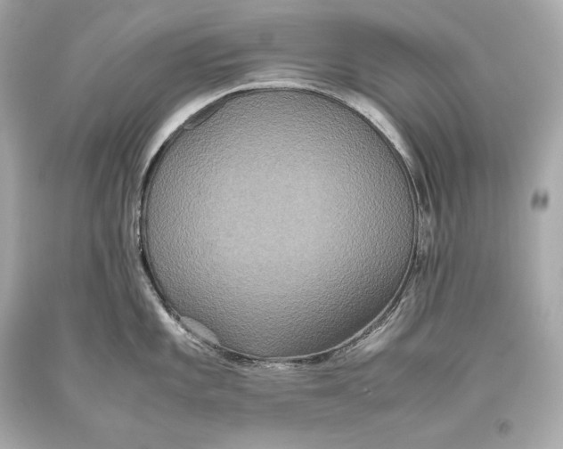 X0000093371101200711011223