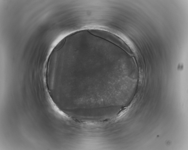 X0000093371102200711011223