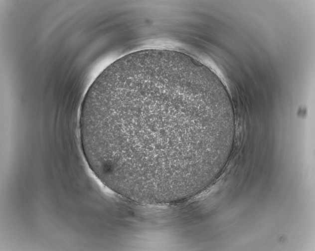 X0000093371103200711011223