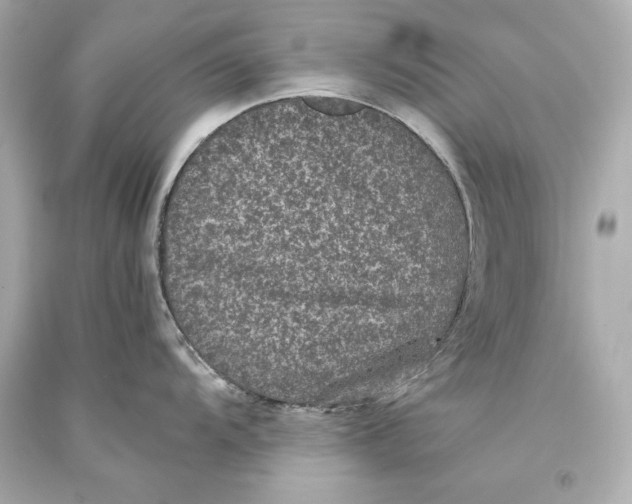 X0000093371104200711011223