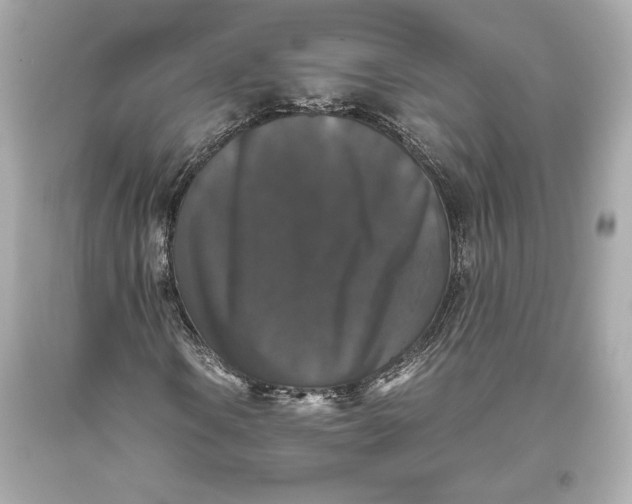 X0000093371106200711011222