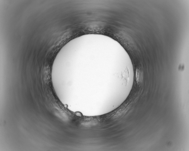 X0000093371107200711011222