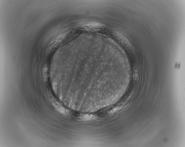 X0000093371108200711011222