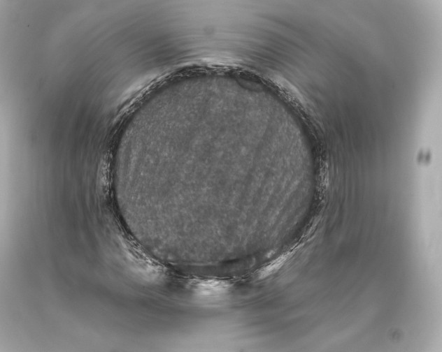 X0000093371110200711011222