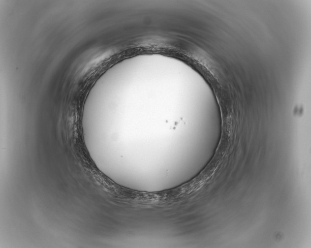 X0000093371111200711011222