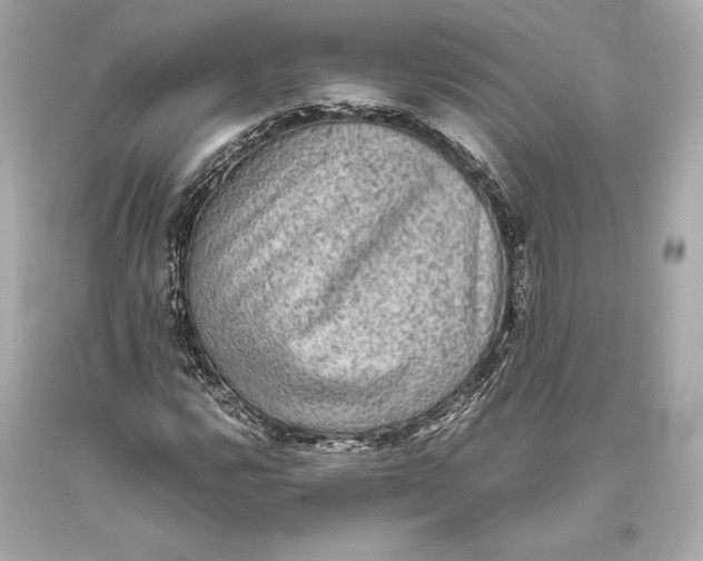 X0000093371112200711011222