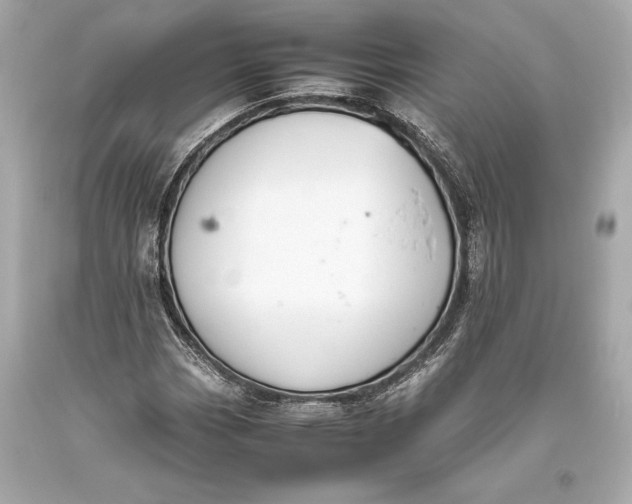 X0000093371113200711011222