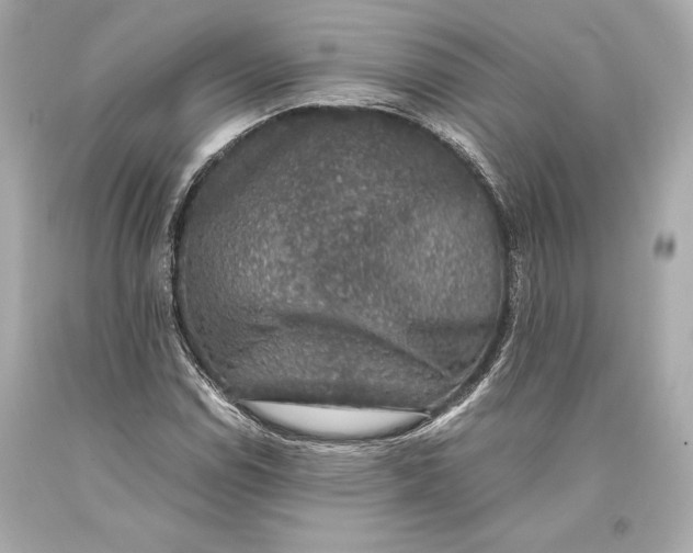 X0000093371114200711011222