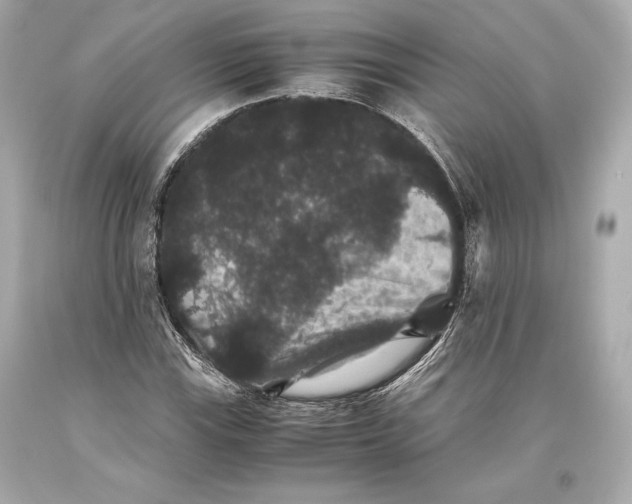 X0000093371115200711011222