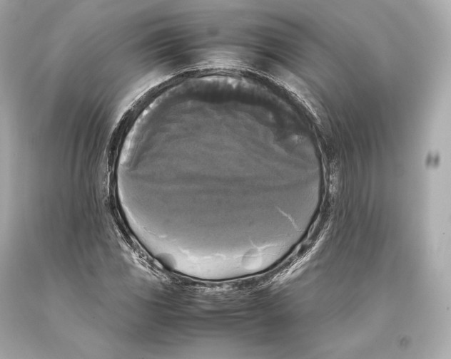 X0000093371117200711011222