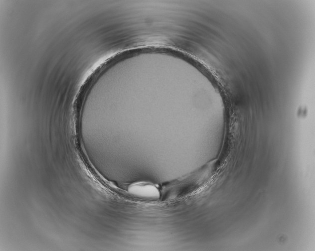 X0000093371118200711011222