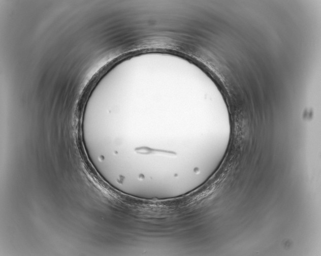 X0000093371119200711011222