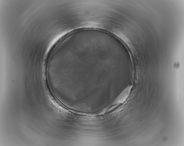 X0000093371120200711011222