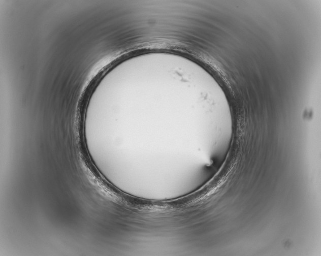 X0000093371122200711011222