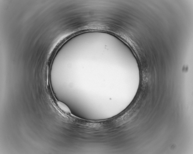 X0000093371123200711011222