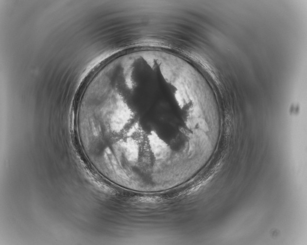 X0000093371125200711011222