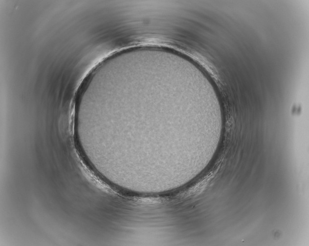 X0000093371126200711011222