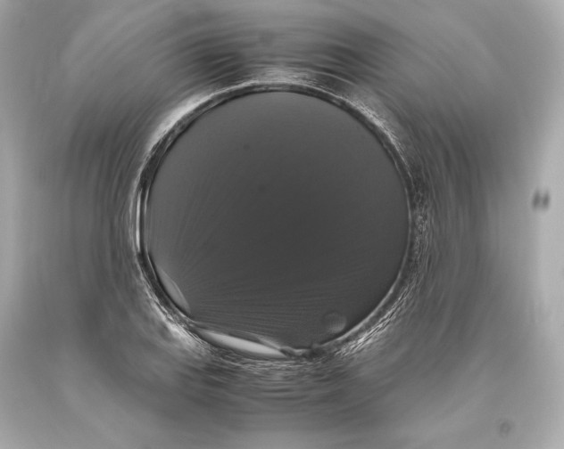 X0000093371127200711011222