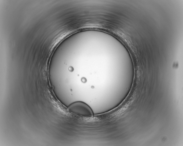 X0000093371129200711011223