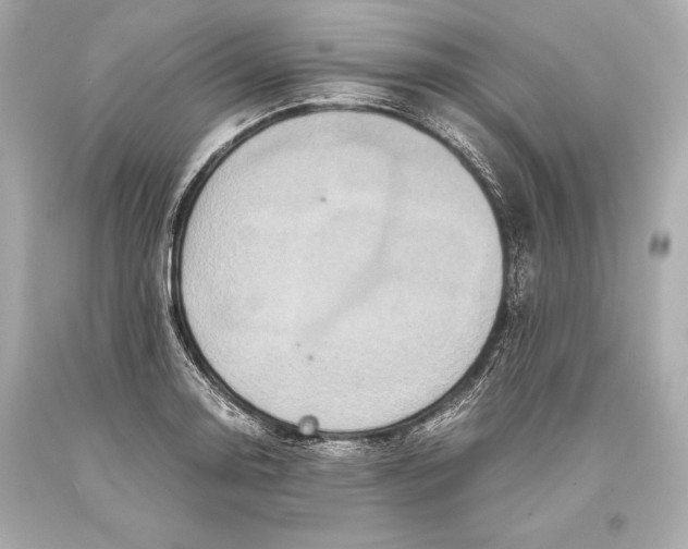 X0000093371130200711011223