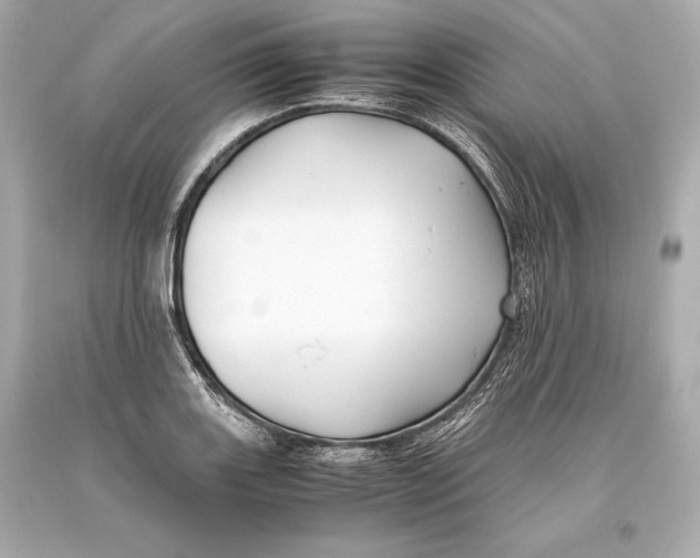 X0000093371131200711011223