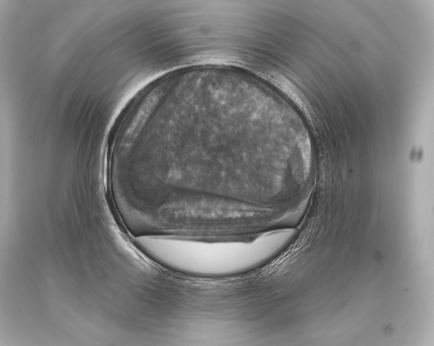 X0000093371132200711011223