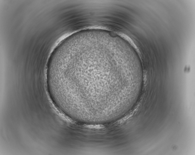 X0000093371133200711011223