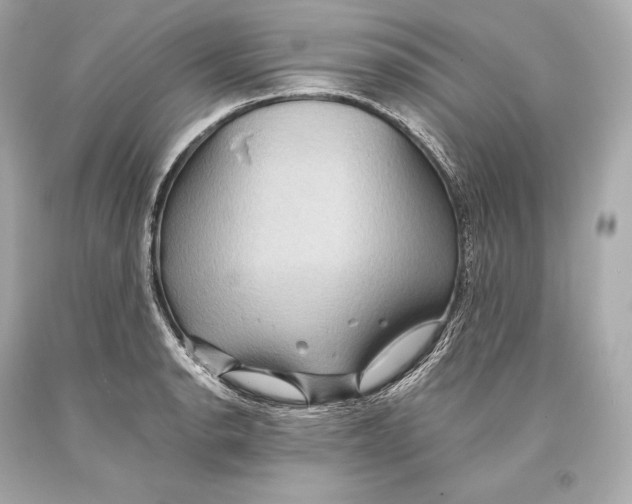 X0000093371134200711011223