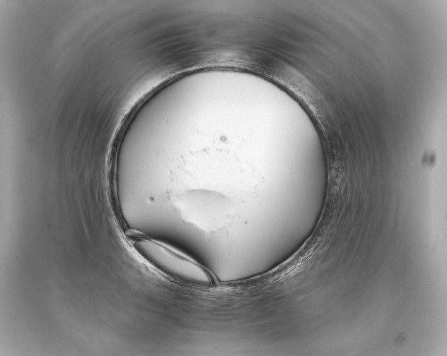 X0000093371135200711011223