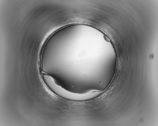 X0000093371136200711011223