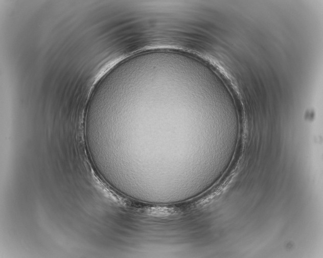 X0000093371137200711011223