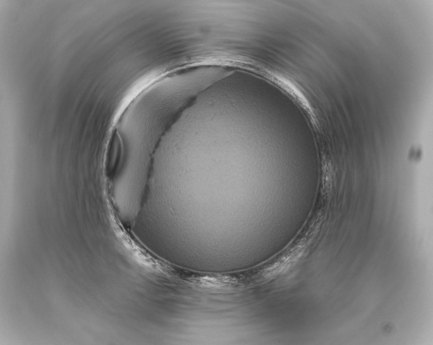 X0000093371138200711011223