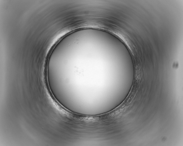 X0000093371139200711011223