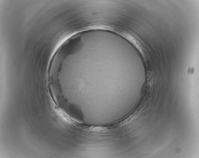 X0000093371140200711011223